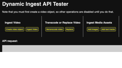 Dynamischer Ingest-API-Tester